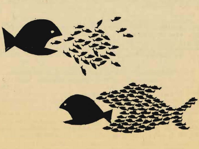 The NDP: Historic Breakthrough or More of the Same?