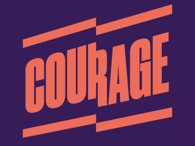 Cooptation, trust and organizing in institutions: a reply to David Camfield